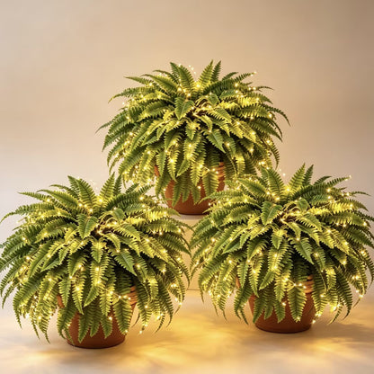 Last Day 49% OFF🌿Glowing Boston Ferns with Lights – 🌿 Zero Watering, Zero Maintenance