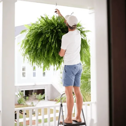 Last Day 49% OFF🌿Glowing Boston Ferns with Lights – 🌿 Zero Watering, Zero Maintenance